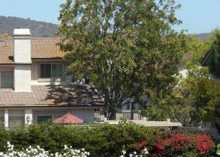 7 Starfall, Irvine, CA 92603-3771