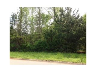 931 Antrim Glen Dr, Hoschton, GA 30548-0061
