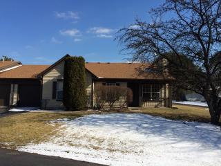 1821 Appaloosa Dr, Naperville, IL 60565-1795