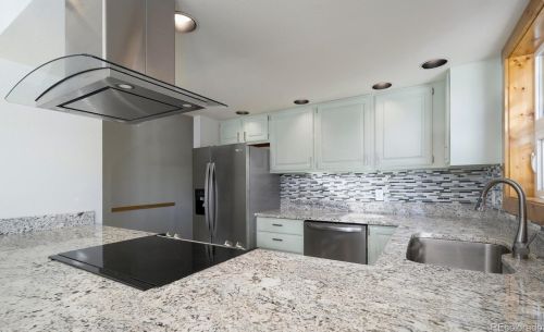 315 Chipmunk Cir, Silverthorne CO 80498-9205 exterior