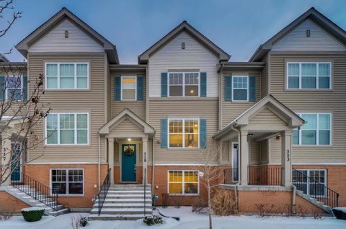 315 Western Ave, Des Plaines, IL 60016-3395