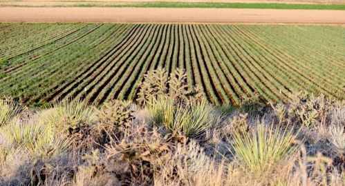 46000 Olson Rd, Avondale, CO 81022-9784