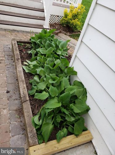 903 Robin Rd, Silver Spring MD  20901-1872 exterior