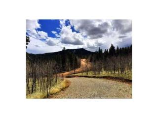 1158 Swiggler Rd, Fairplay, CO 80456