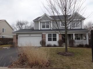 119 Montclair Dr, Trout Valley IL  60013-1829 exterior