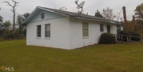 162 Pinevale Rd, Hiltonia, GA 30467-5936