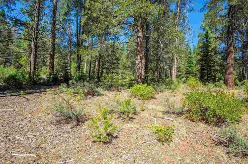 11861 Bottcher Loop, Truckee CA  96161-2793 exterior