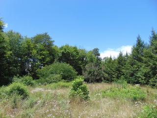110 Lexington Ln, Clinton, TN 37716-5778