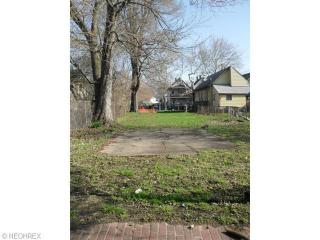 4219 Orchard Ave, Cleveland, OH 44113-3826