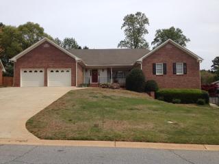 3111 Willow Green Ct, Duluth, GA 30096-3641