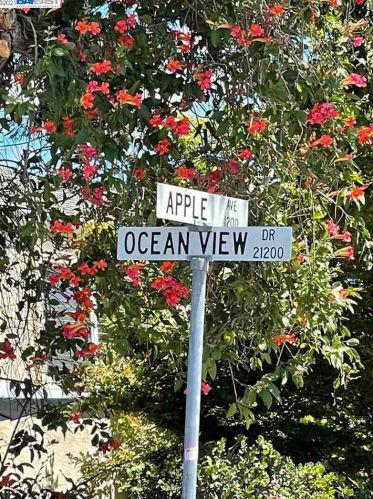 21295 Ocean View Dr, Hayward, CA 94541-1541