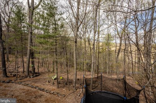 168 Shenandale Dr, Mc Gaheysville, VA 22840-2148