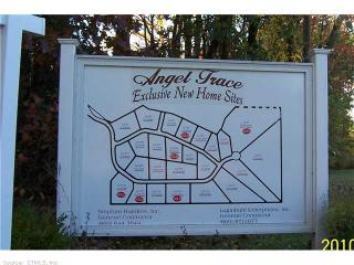 16 Angel Trace Rd, Ellington, CT 06029-2734