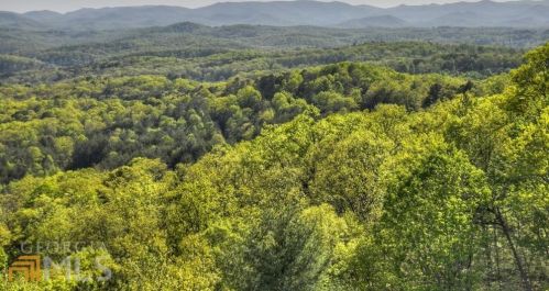 91 Cinnamon Bear Rd, Mineral Bluff, GA 30559-8760
