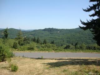 300 Horizon Dr, Kalama, WA