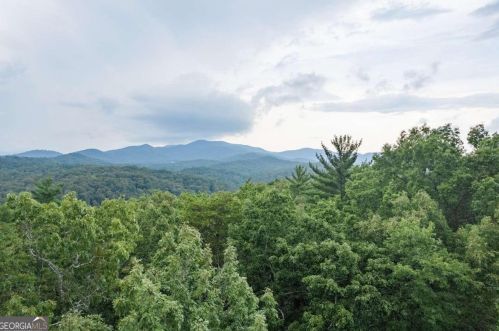 770 Flagpole Rd, Ellijay, GA 30540-1363