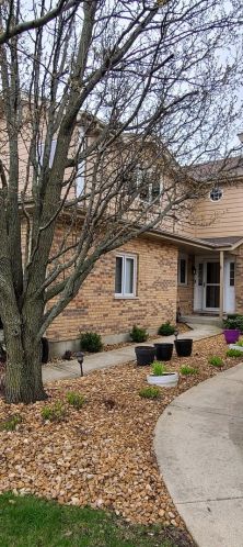 7707 Richardson Ln, Tinley Park, IL 60487-9241