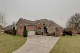 1178 Drake Rd, Adams, TN 37010-9049
