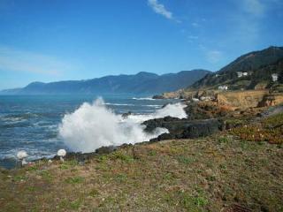 305 Lower Pacific Dr, Shelter Cove, CA 95589-9205