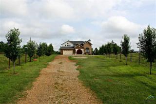 480 County Road 3350, Cookville, TX 75558-2094