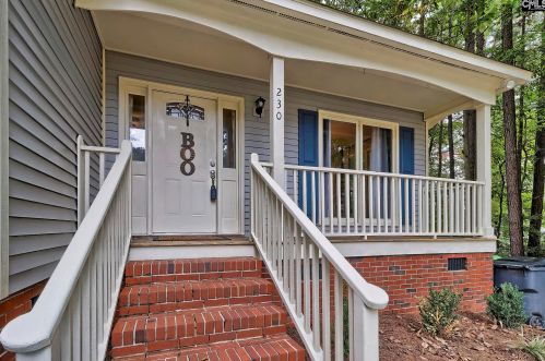 230 Corley Woods Dr, Lexington, SC 29072-3844
