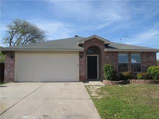 4293 Estes Park Cir, Fort Worth TX  76137-5535 exterior