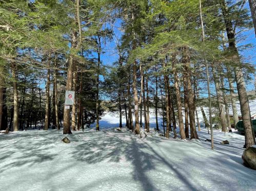 17 Scott Dr, Alton, NH 03810-4346