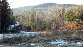 1 Colcord Pond Rd, Porter, ME 04068-3424