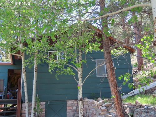 74 Brook-by-way, Twin Rock, CO 80816-9500