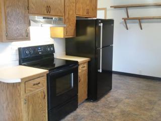 280 Ironton St, Minneapolis MN  55432-1737 exterior