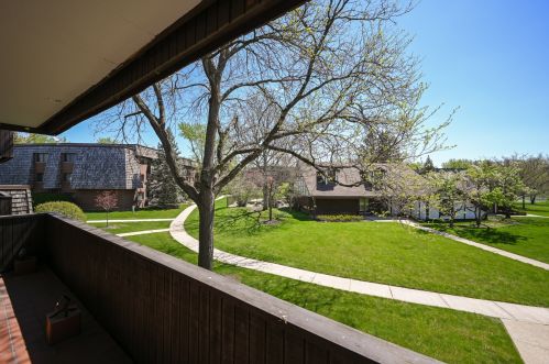 493 Timber Ridge Dr, Carol Stream IL  60188-2821 exterior