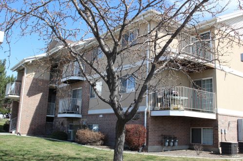 1267 1420, Orem, UT 84057-6525
