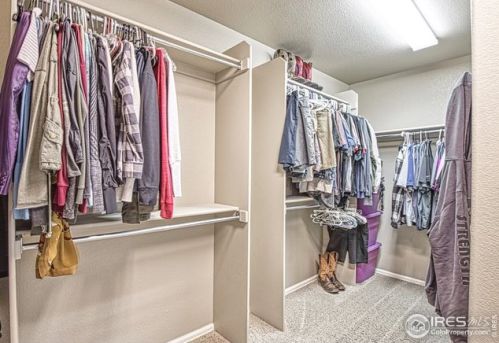 2083 Bayfront Dr, Fort Collins CO  80550-3590 exterior