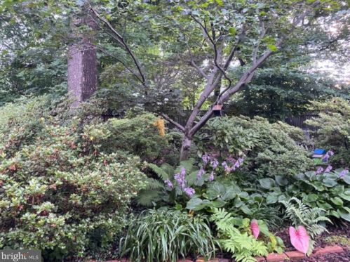 1221 Pinecrest Cir, Silver Spring MD 20910-1626 exterior