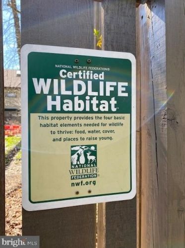 311 Lincoln Ave, Silver Spring MD 20912-5713 exterior