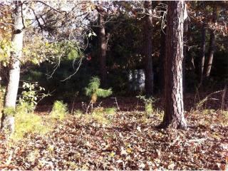 7054 Mccurley Rd, Acworth, GA 30102-1326