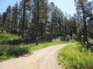 933 Enchanted Forest Dr, Vallecito, CO 81122-8751