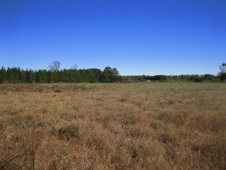3053 Green Pond Hwy, Walterboro, SC 29488-7508