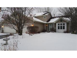 1102 Bonnieview Dr, Saint Paul, MN 55129-8520
