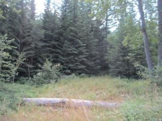 4740 Whittier Rd, Clayton, WA 99110-9738