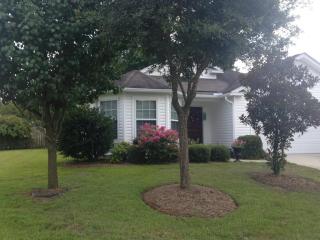 5103 Seasaw Ct, Summerville, SC 29485-9004