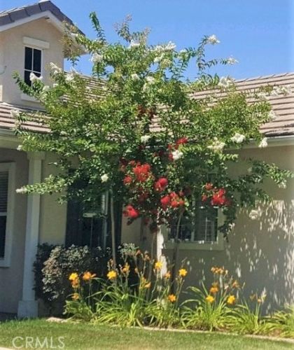 17617 Cedarwood Dr, Riverside CA  92503-7038 exterior