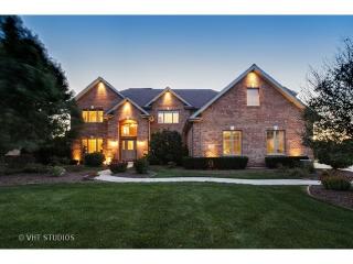 22980 Devonshire Ln, Frankfort, IL 60423-8571