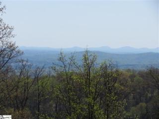 19 Grosbeak Way, Landrum, SC 29356-3417
