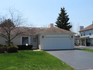 1239 Clematis Dr, Streamwood IL  60107-1897 exterior
