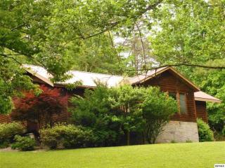 1008 Ridge Pl, Pigeon Forge, TN 37876-9509