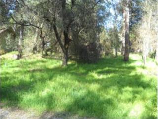 674 Algiers St, Vallecito, CA 95247-9651