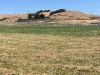 123 Little Pheasant Ln, Roseburg OR  97471 exterior