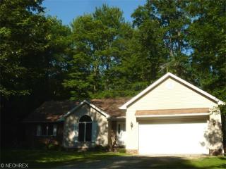 9593 Wildwood Dr, Concord Township, OH 44024-9134