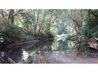 130 Brim Creek Rd, Vader, WA 98593-9741